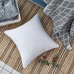Oubonun 22 x 22 Throw Pillow Inserts