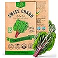 Amazon.com : Swiss Chard Ruby Red Seeds Pack 3.75G - Over 200 Non-GMO ...