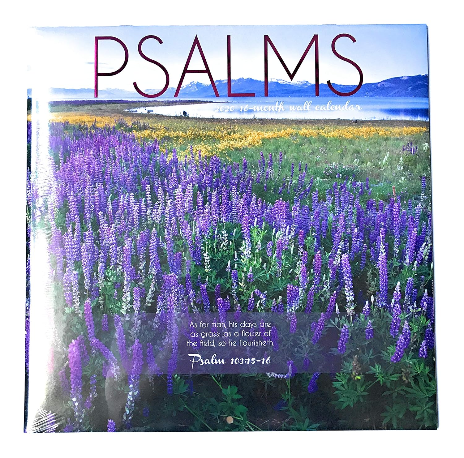 2020 Religious Calendars 16Month Religious Wall