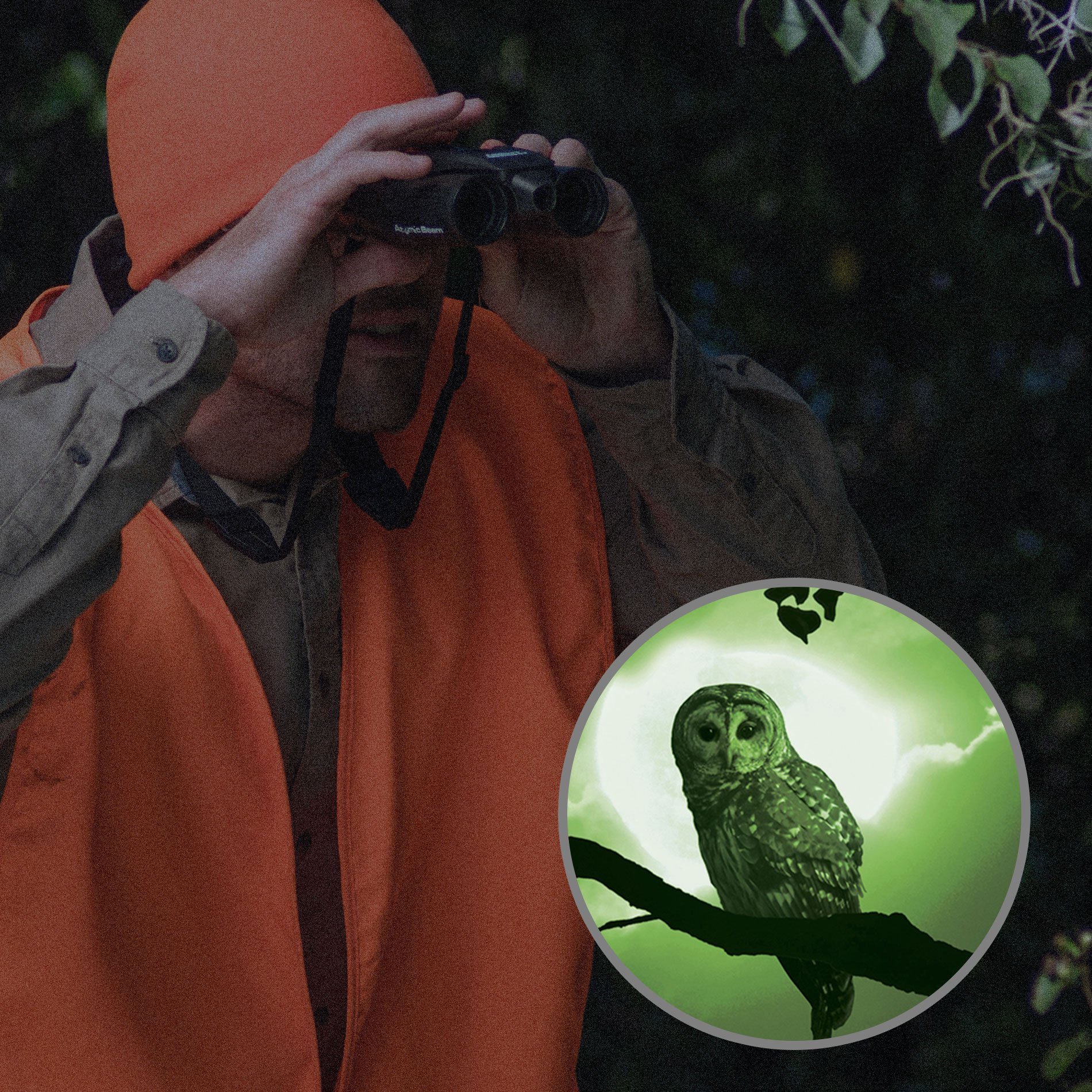 night hero binoculars amazon