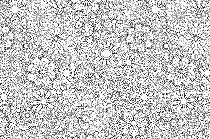 Brewster Dwm2252 Marigold Floral Para Colorear Mural De Pared