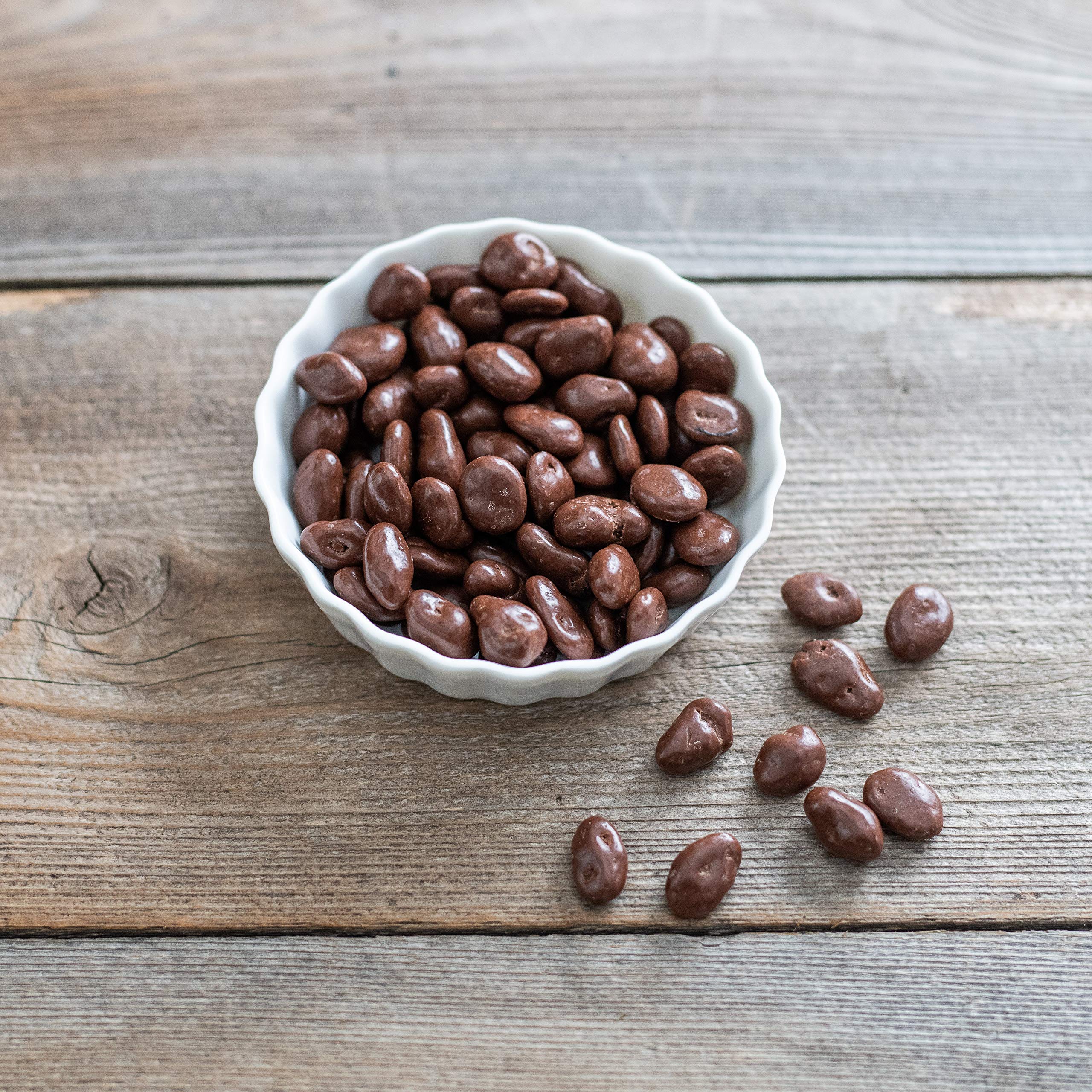 Milk Chocolate Covered Raisin Candy, Large Resealable Bag, 36