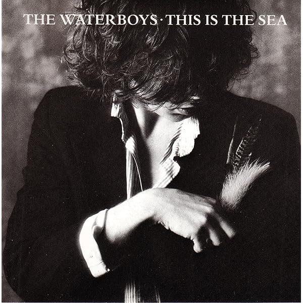 Waterboys - This Is The Sea: Collectors Edition - Amazon.com Music
