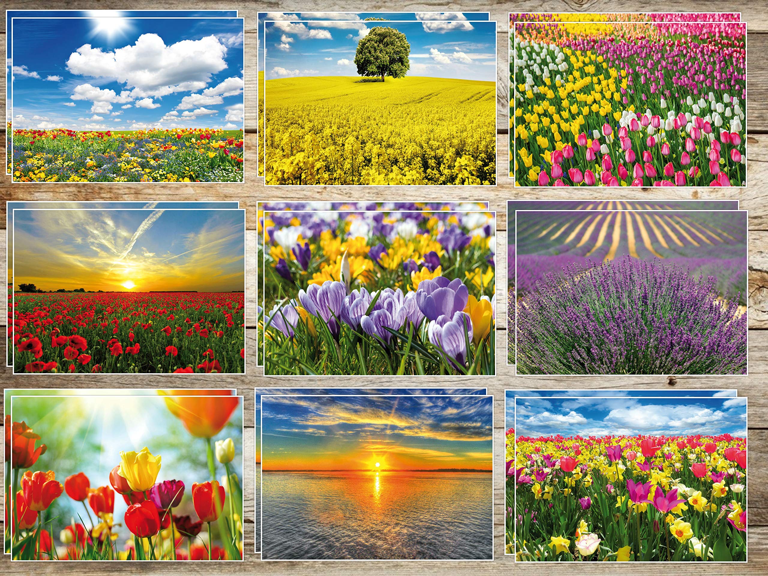 20 Landscapes (set of 2 spring & summer with 10 different postcards set of 2 items) 20 piece For post crossing and writing edition Colibri© – environmentally friendly, carbon neutral print