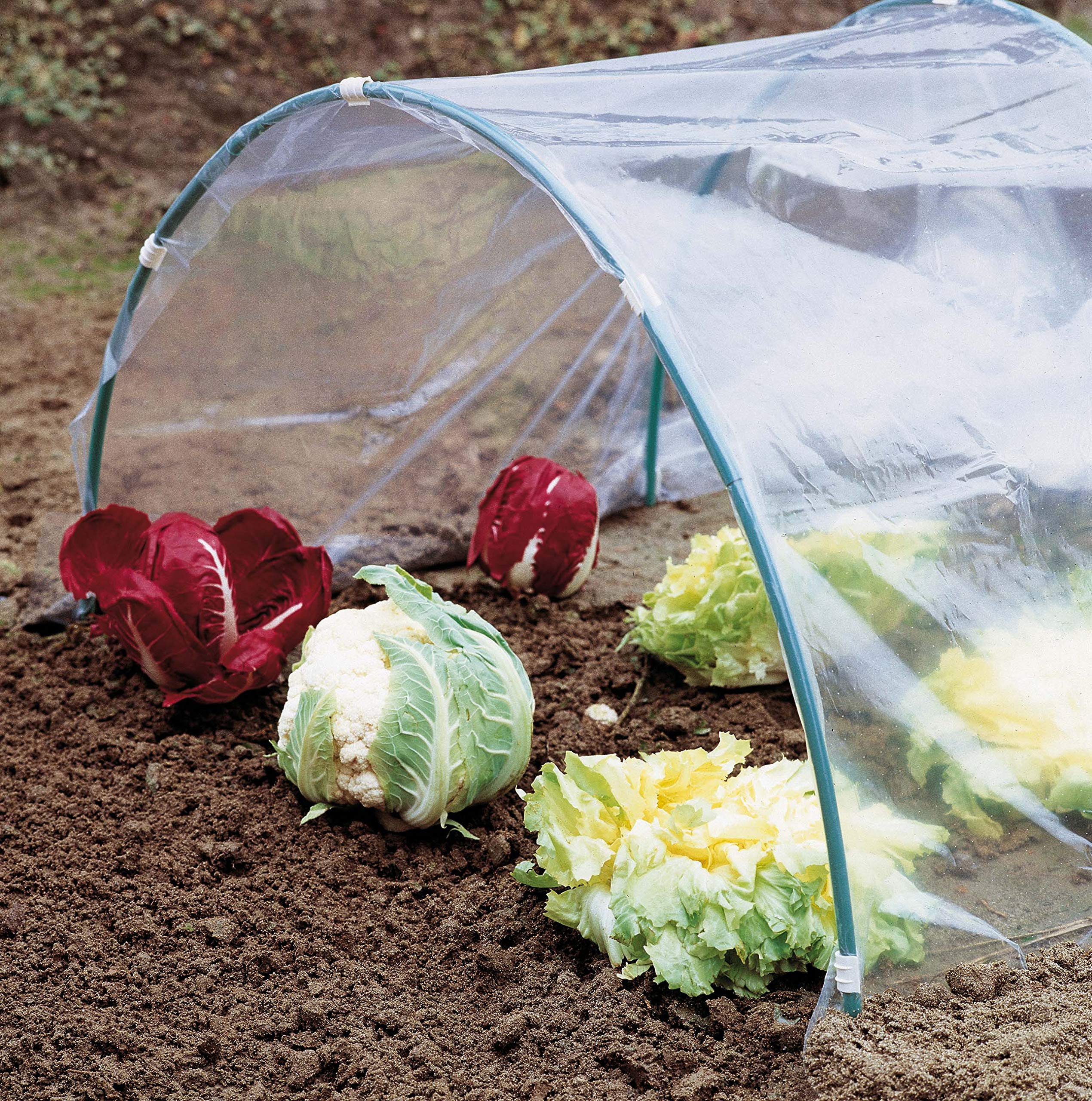 Verdemax 2556 2 x 10 m Greenhouse Micro Perforated PE Film