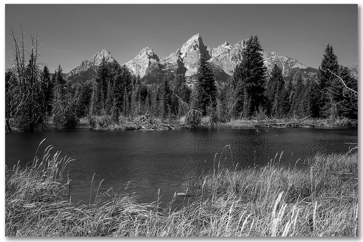 Amazon.com: Western Wall Art Photography Print - Black and White