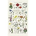 Cavallini Papers & Co. Wildflowers Tea Towel, Multicolor