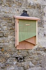 Wildlife World Conservation Bat Box CSVBB - Twin Chamber FSC Timber view 5