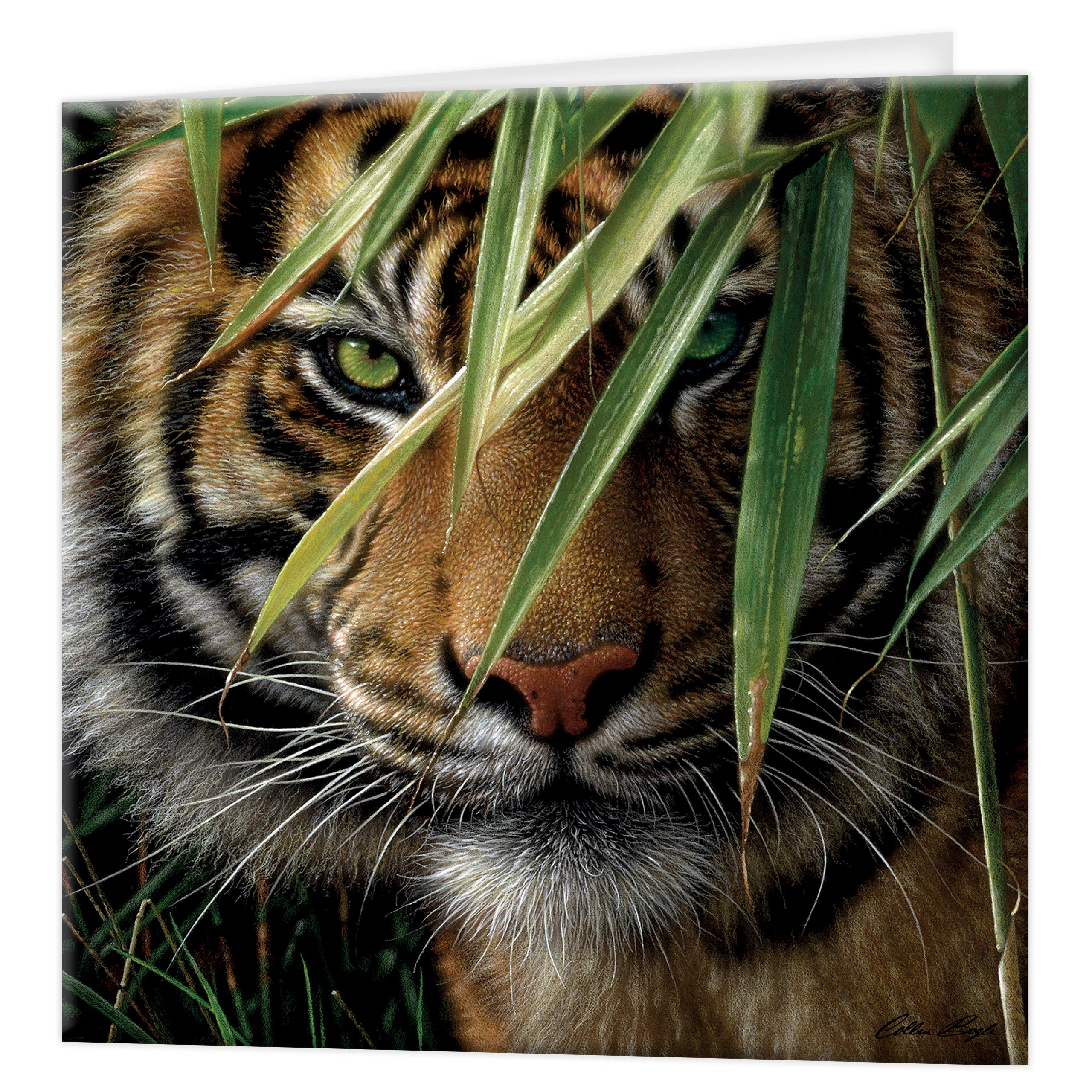 3D LiveLife Greeting Card - Emerald Forest from Deluxebase. Blank Card with Lenticular 3D Image and Envelope. Unique Notecard for All Occasions and Premium Stationery Sets.