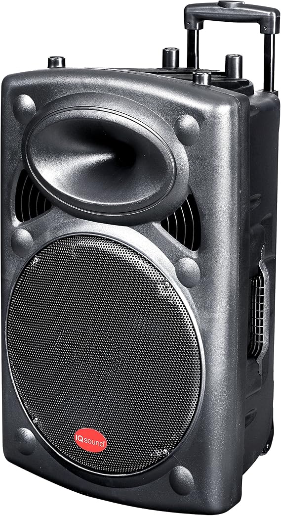 sweeton speaker 15 inch