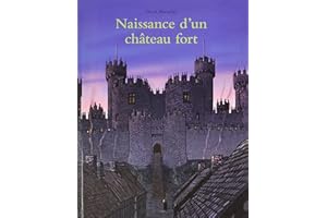 NAISSANCE D'UN CHÂTEAU FORT