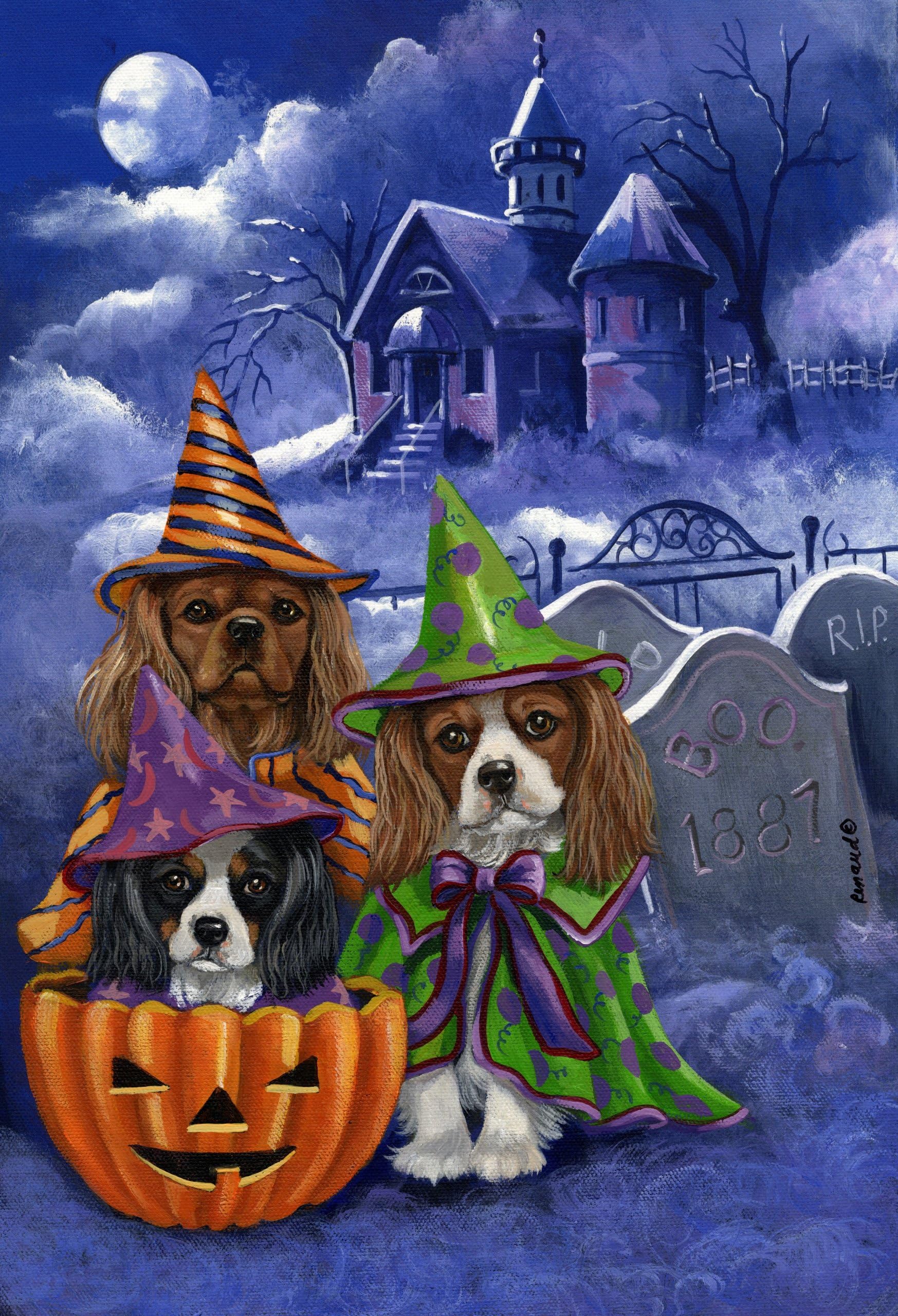 Cavalier King Charles Haunted House-GF