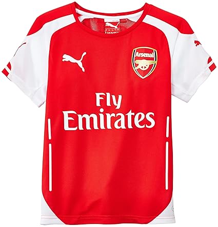 puma x karl lagerfeld suede