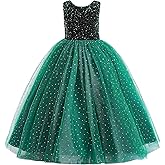 Glamulice Christmas Flower Girls Sparkle Tulle Dress Vintage Dresses Kids Holiday Party Photo Shoot Ball Gown