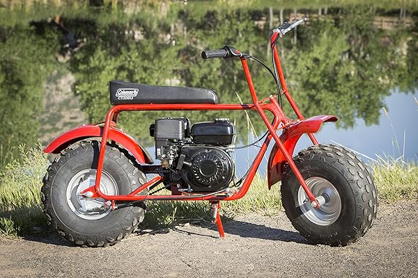 best gas scooters for adults