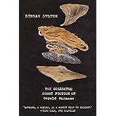 Stream System: The Collected Short Fiction of Gerald Murnane