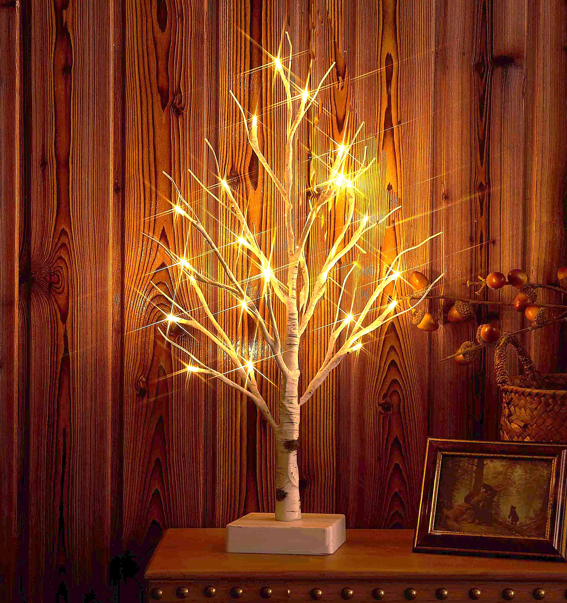 Hairui Lighted Tabletop Birch Tree 24 LED 18 Inches for Christmas Thanksgiving Holiday Decoration Battery Operated with Timer Indoor Use