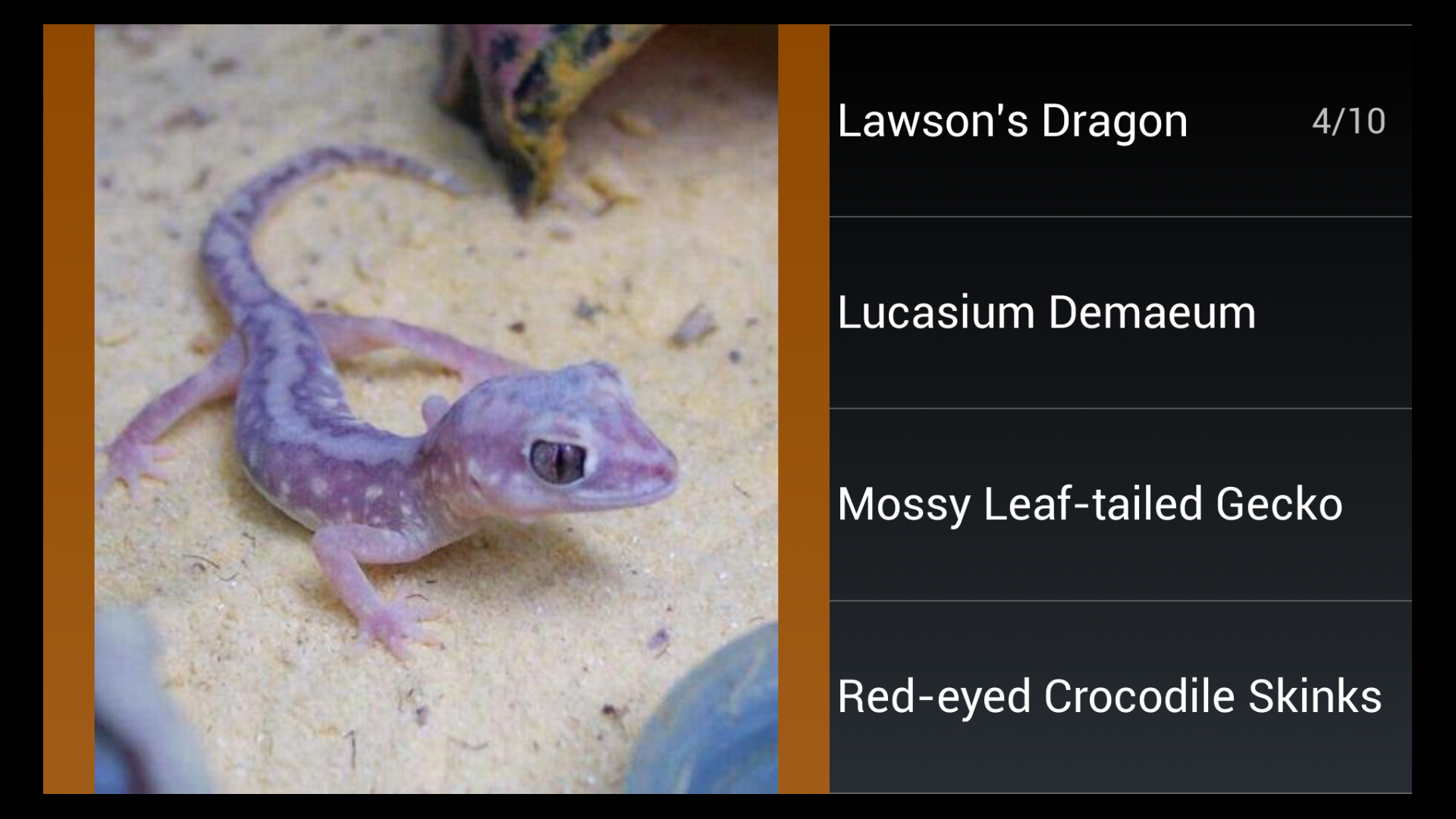 Reptile Species Trivia Quiz Amazon.ca Appstore for Android