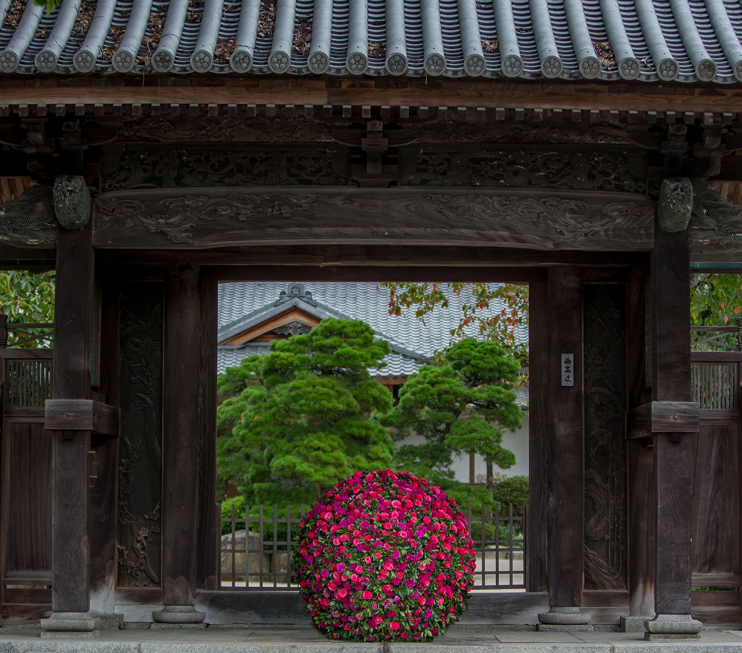 在庫限りsale ニコライバーグマン 写真集 太宰府 1f5d07cc ラストワンセール Cfscr Com