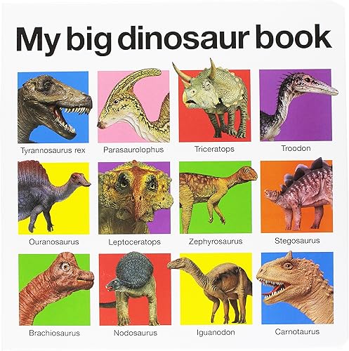 Download My Big Dinosaur Book PDF