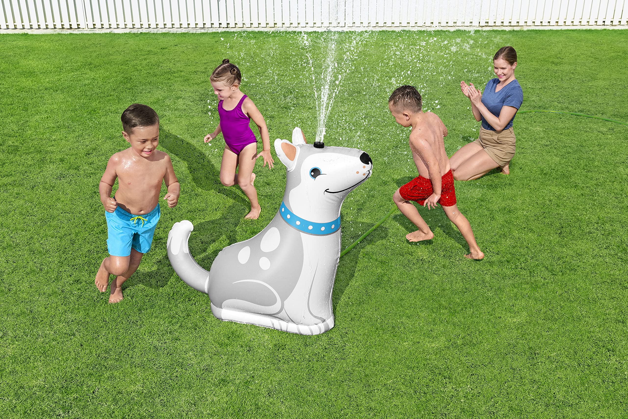 44" x 17" x 39"/1.12m x 44cm x 1.00m Happy Husky Sprinkler 3