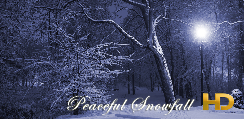 Peaceful Snowfall HD
