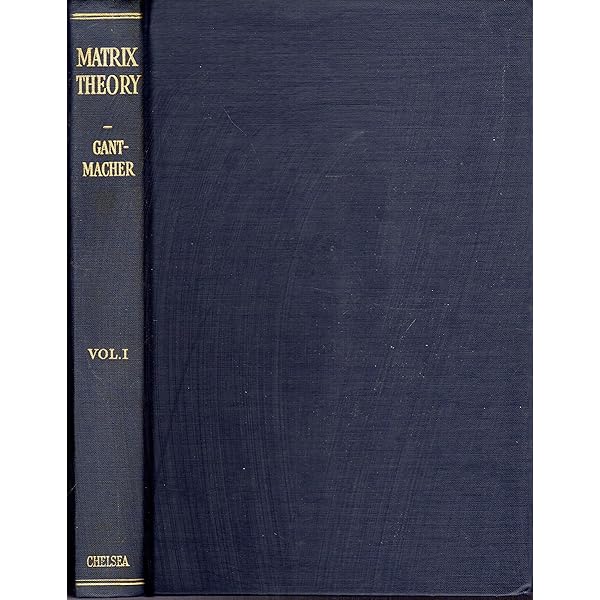 Amazon.com: Matrix Theory Vol. 1: 9780821813768: F. R.