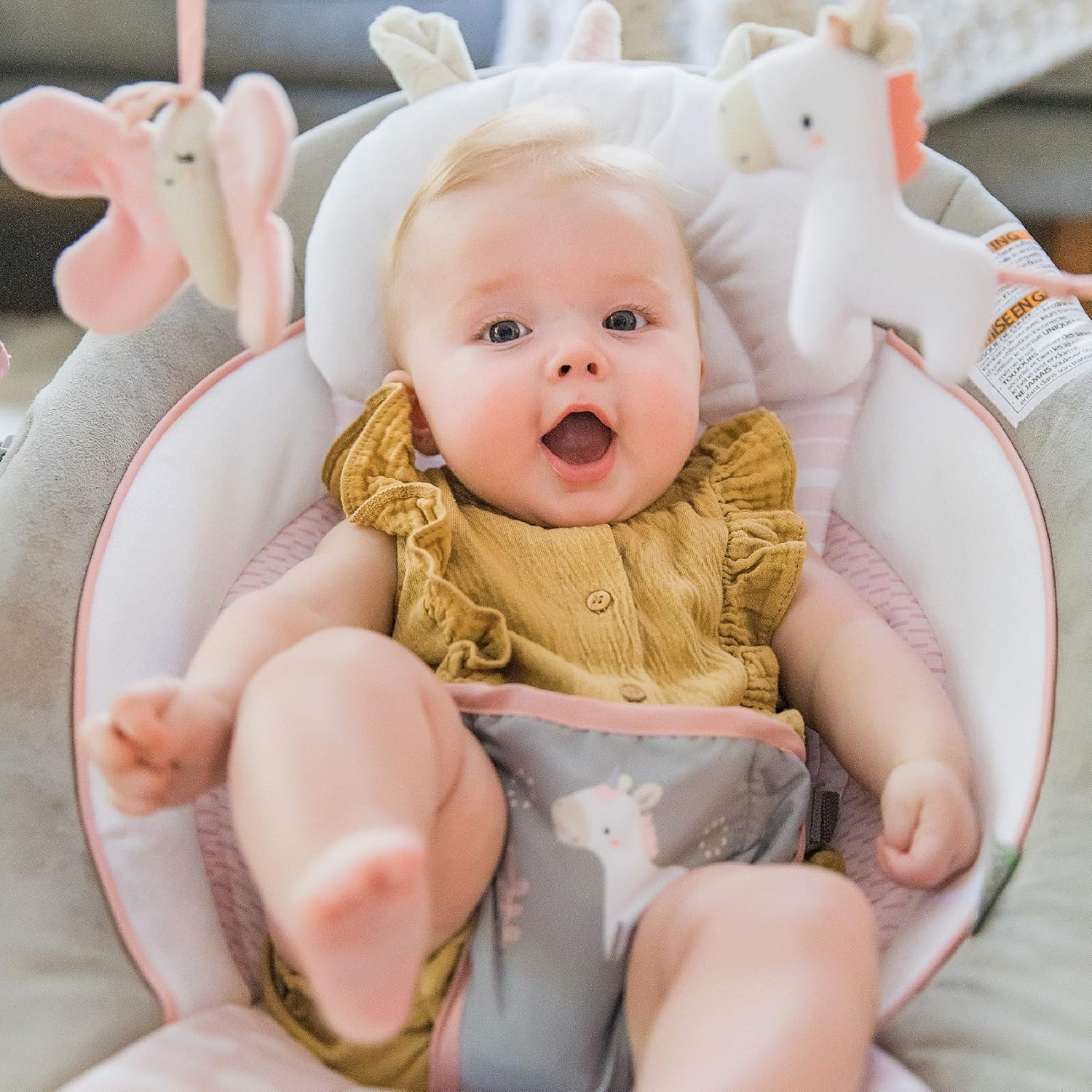 ingenuity bouncer flora