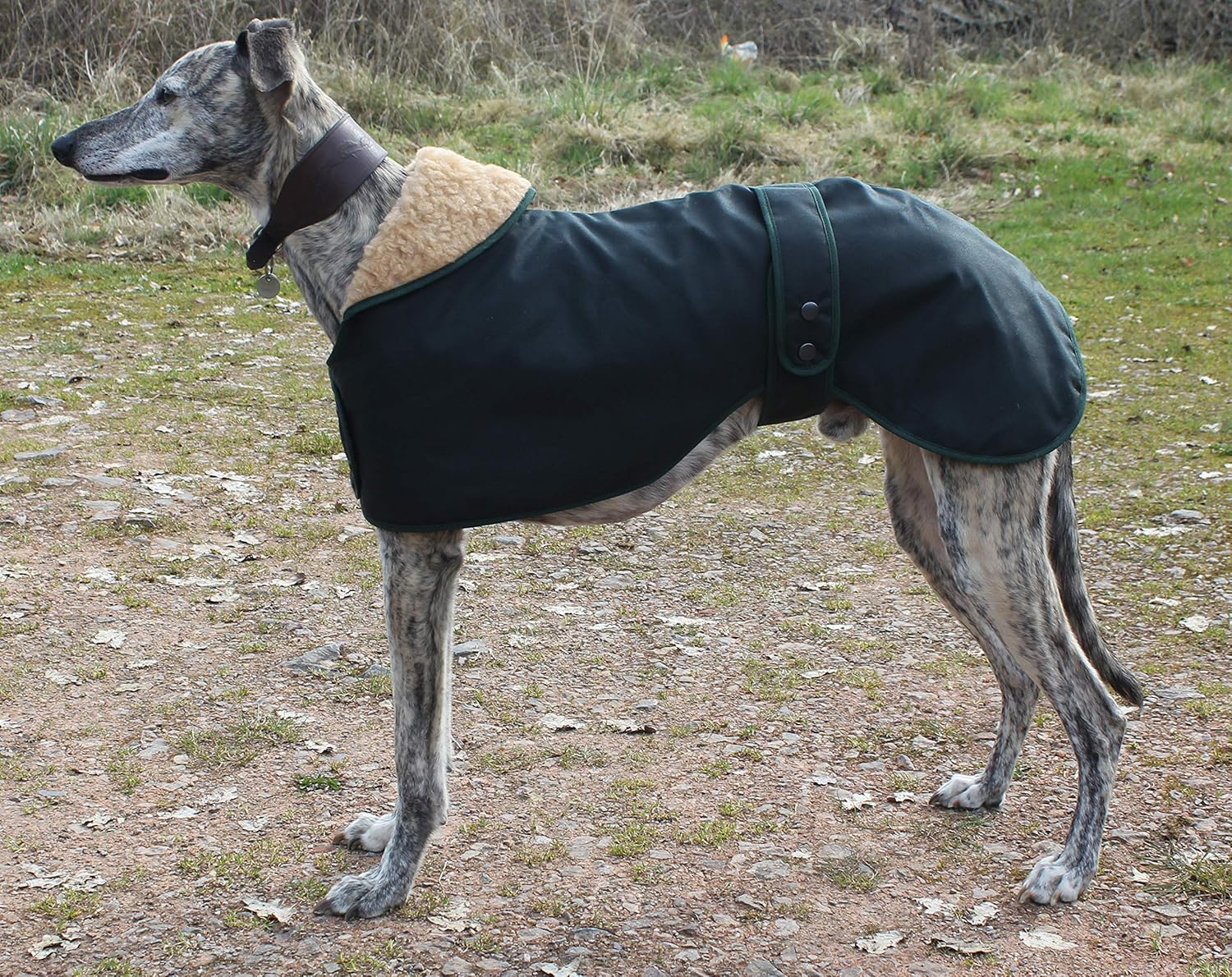 coat greyhound