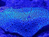 Review Image by Tiffany Hoffman Tiffany Hoffman