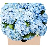 KaBloom-15 Blue Hydrangeas Bouquet, Flowers for Valentine, Mother's Day