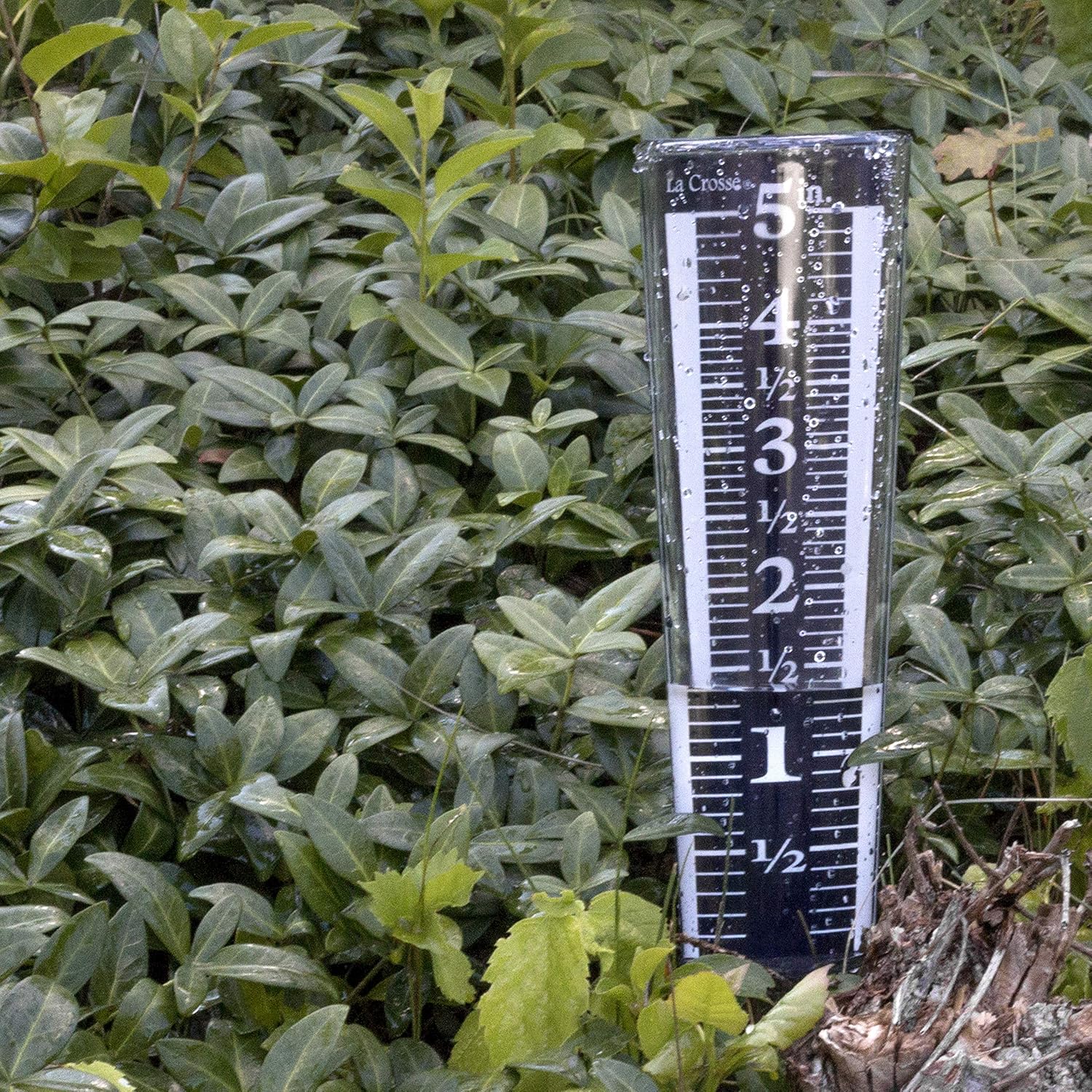 Lacrosse Rain Gauge Parts