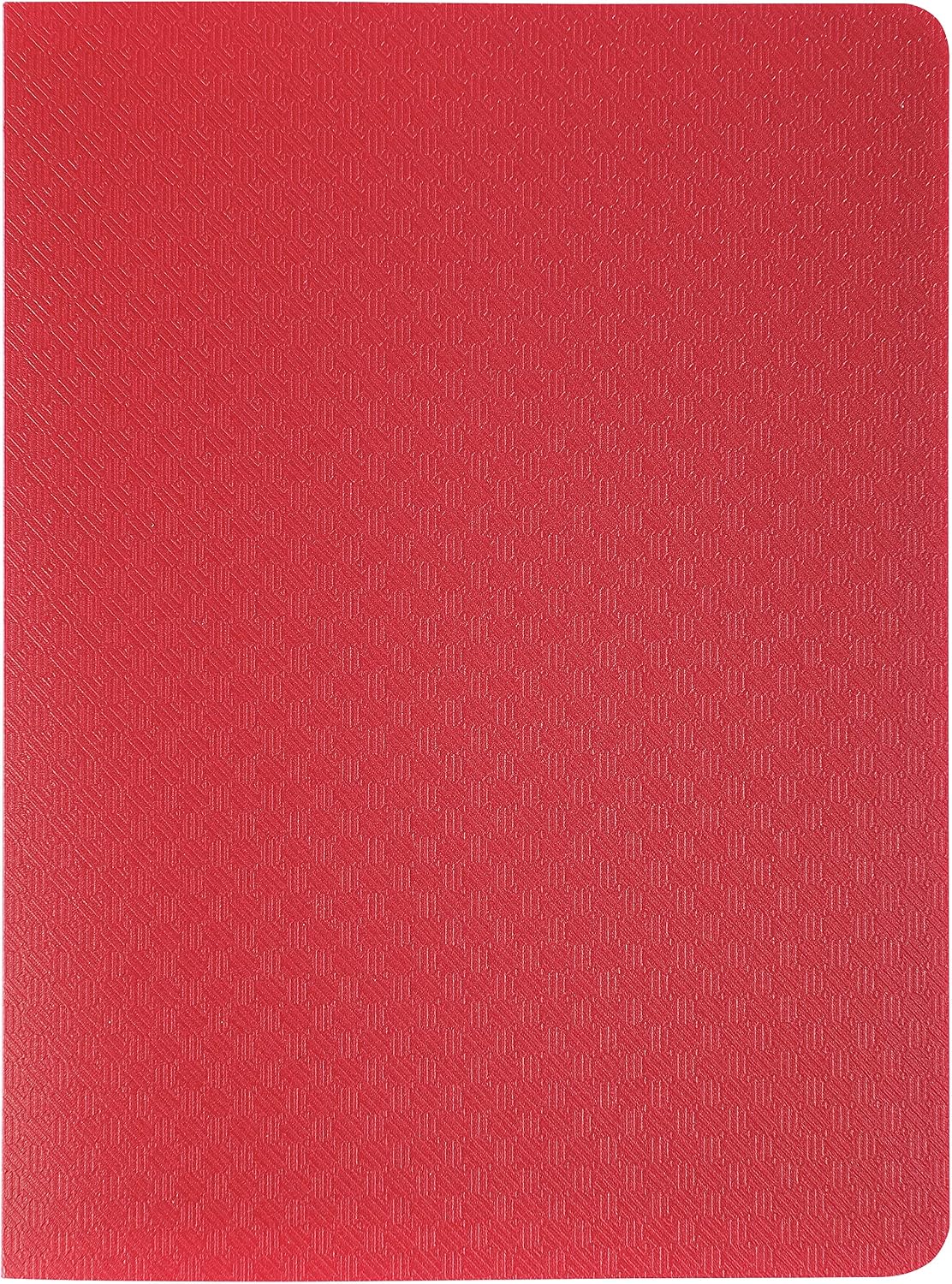 Exacompta, Ref. 88209E, 1 Pocket OPAK document protector, 20 smooth crystal pockets, 40 views, for format 11 x 15cm
