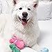 FetchBox - The Monthly Subscription Box For Dogs Curated by Fetch For Pets