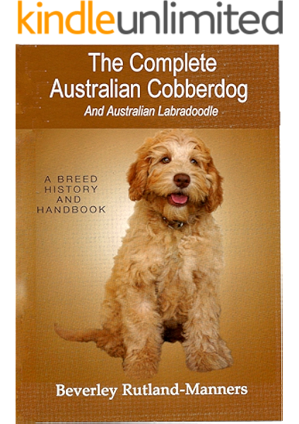 Australian Cobberdog Australian Labradoodle 2025