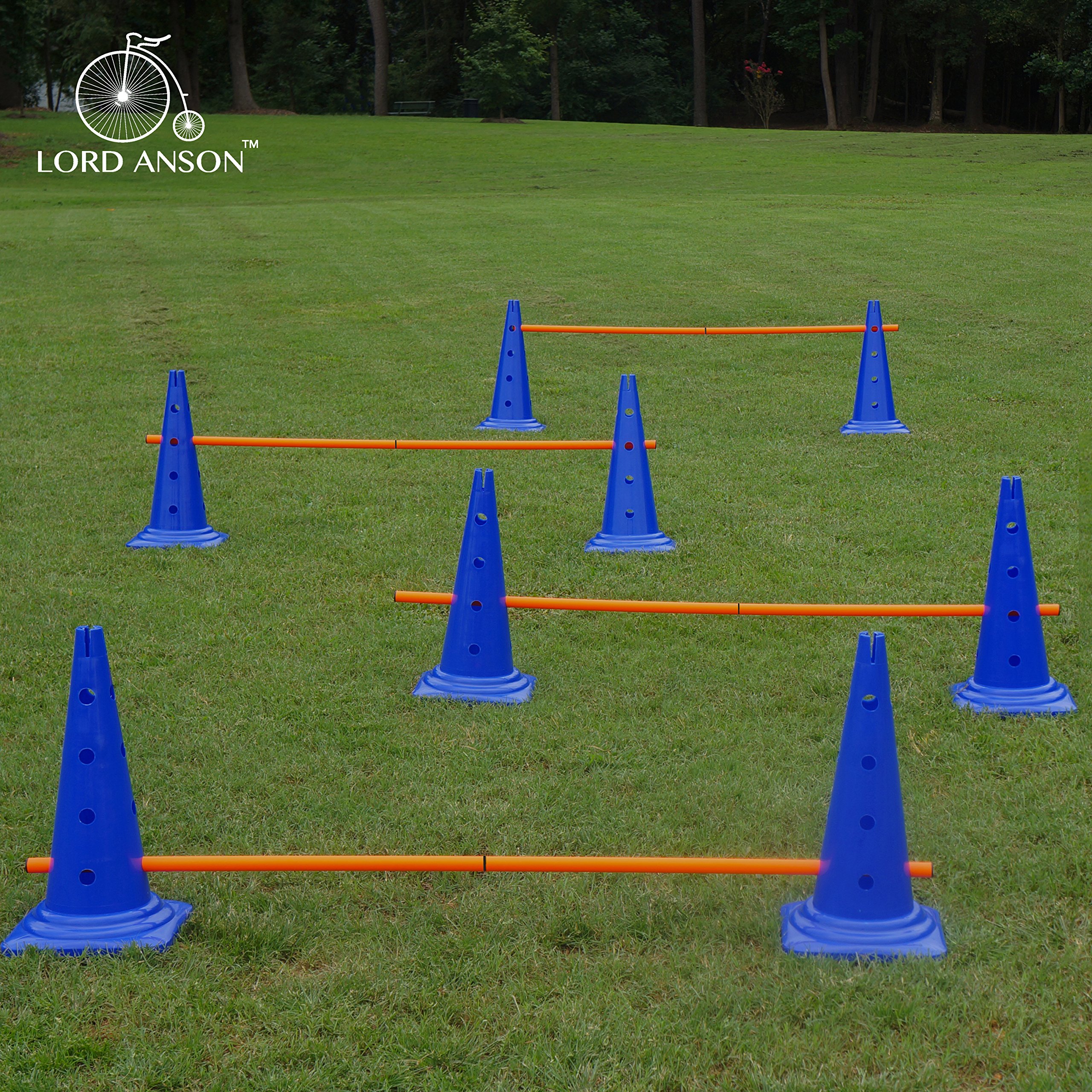 Galleon Lord Anson Trade; Dog Agility Hurdle Cone Set Canine