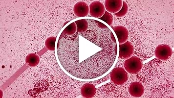 A video posted by the author.