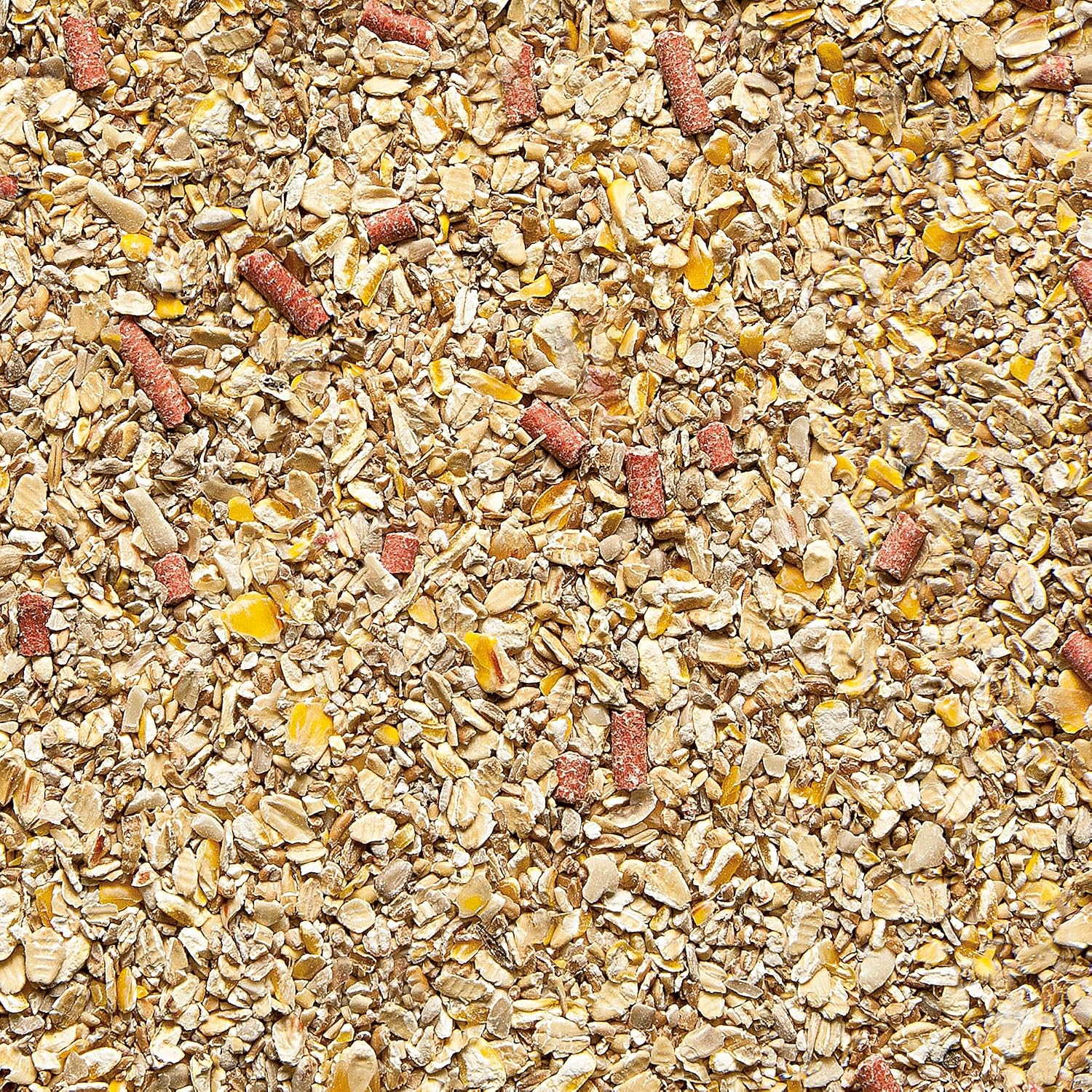 Gardman Seed Mix 12.75kg, No Grow, 58x45x10 cm, Natural, 12.75 kg (Pack of 1) - Image 3