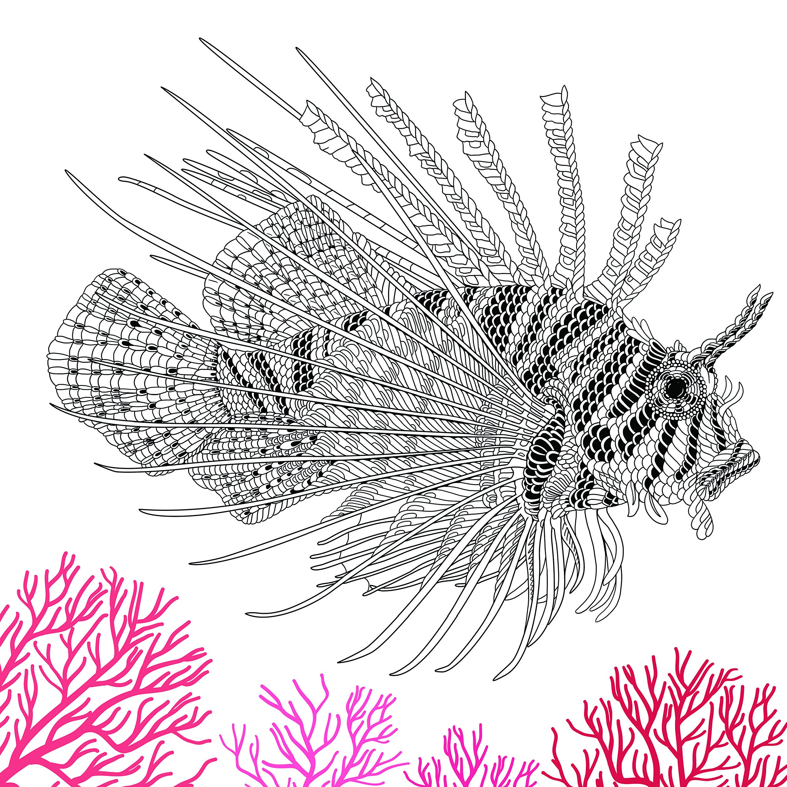 Amazon Com The Aquarium Marine Portraits To Color 9781438009476 Richard Merritt Claire Scully Books Coloring Pages Color Coloring Books