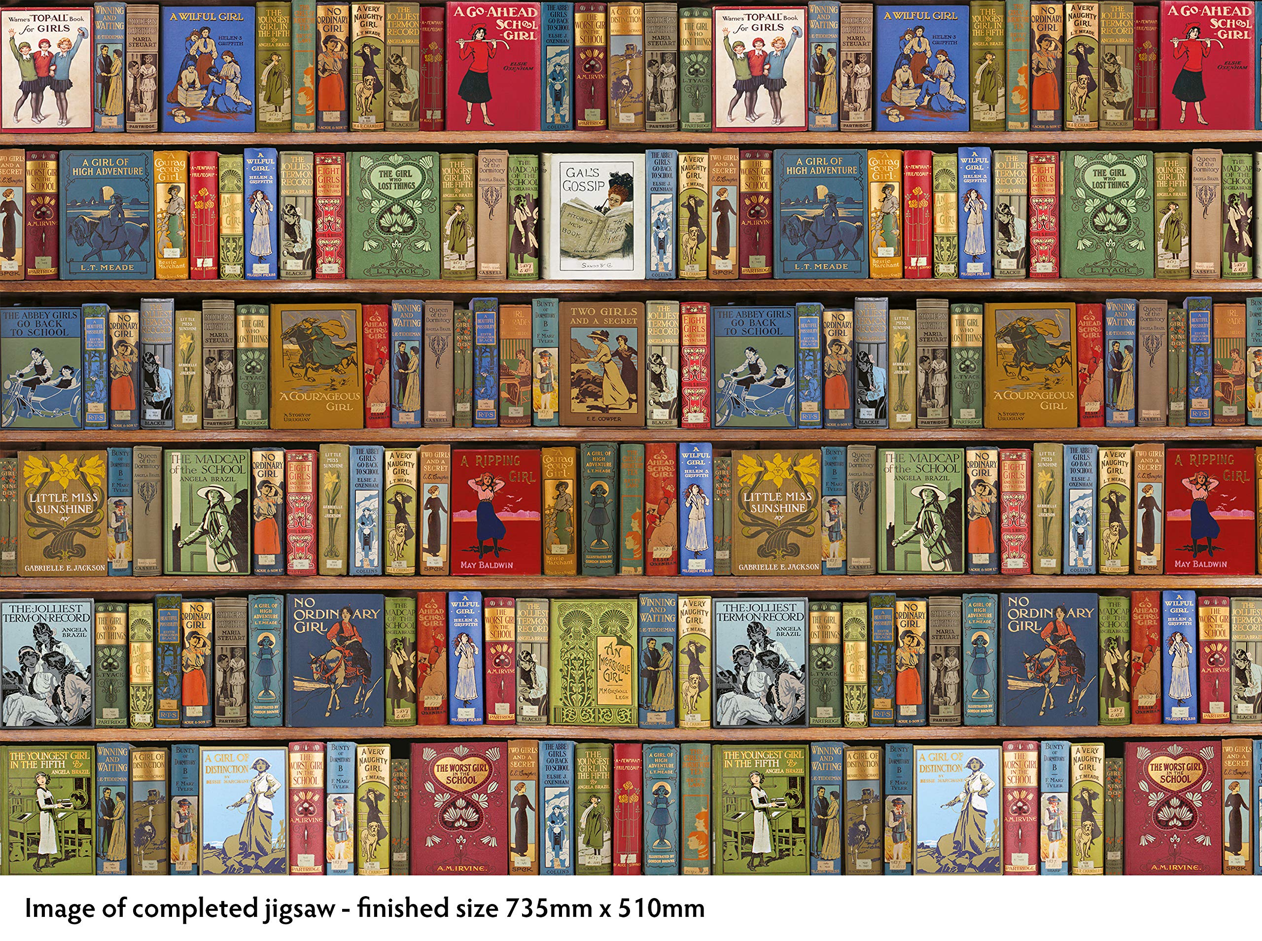 high jinks bookshelves jigsaw