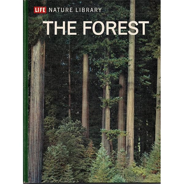 Life World Library Japan: Edward Seidensticker: Amazon.com: Books