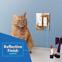 LIDER Double Decorator Wall Plate, Impact