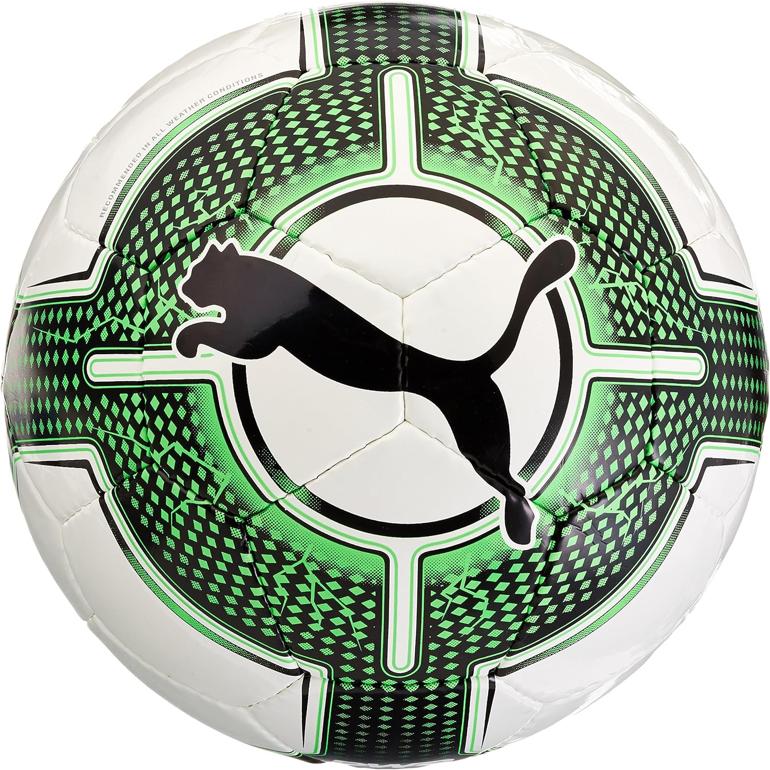 puma evopower 1.3 ball