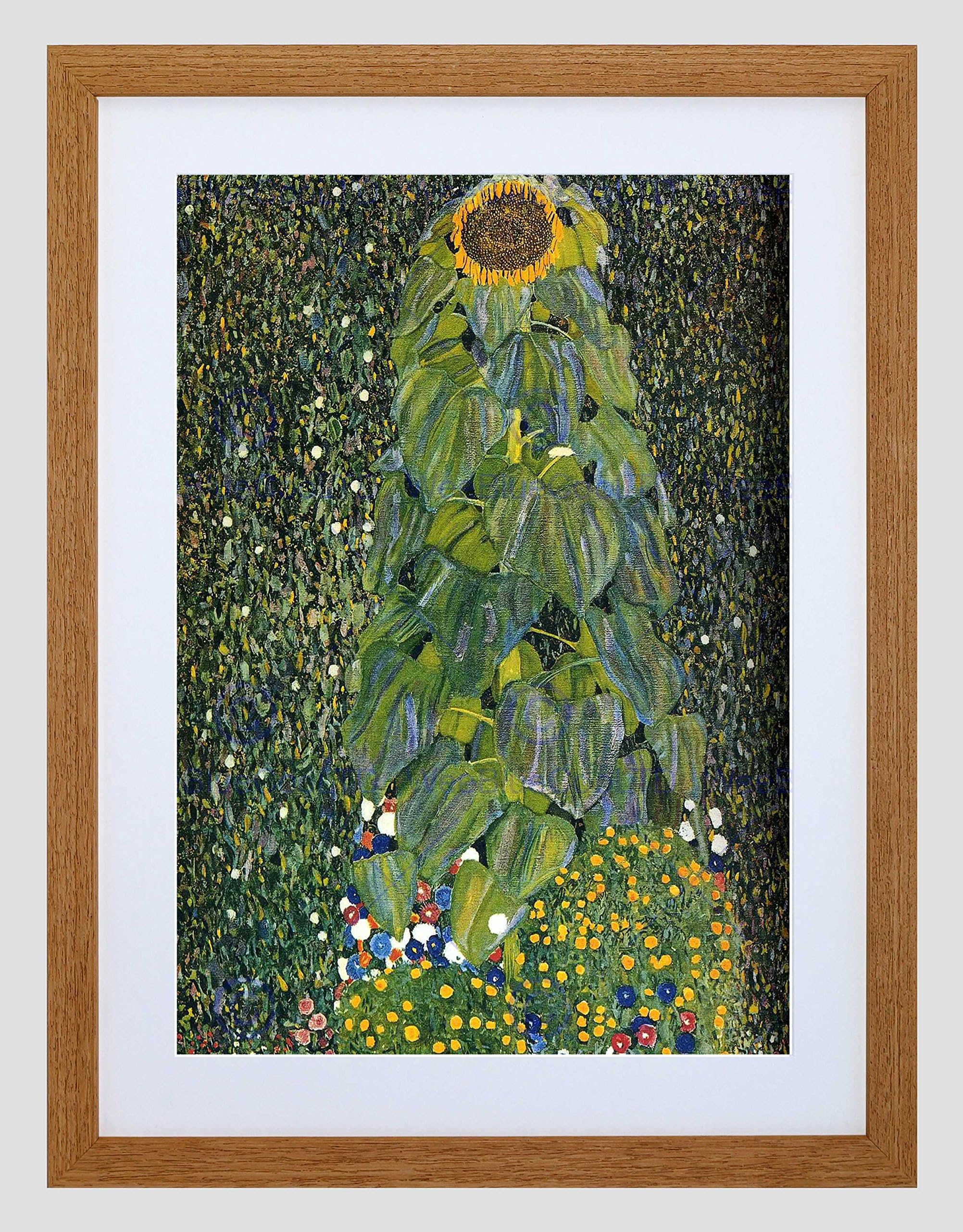 Gustav Klimt The Sunflower 1907 Old Master Black Frame Framed Art Print Picture + Mount B12X247