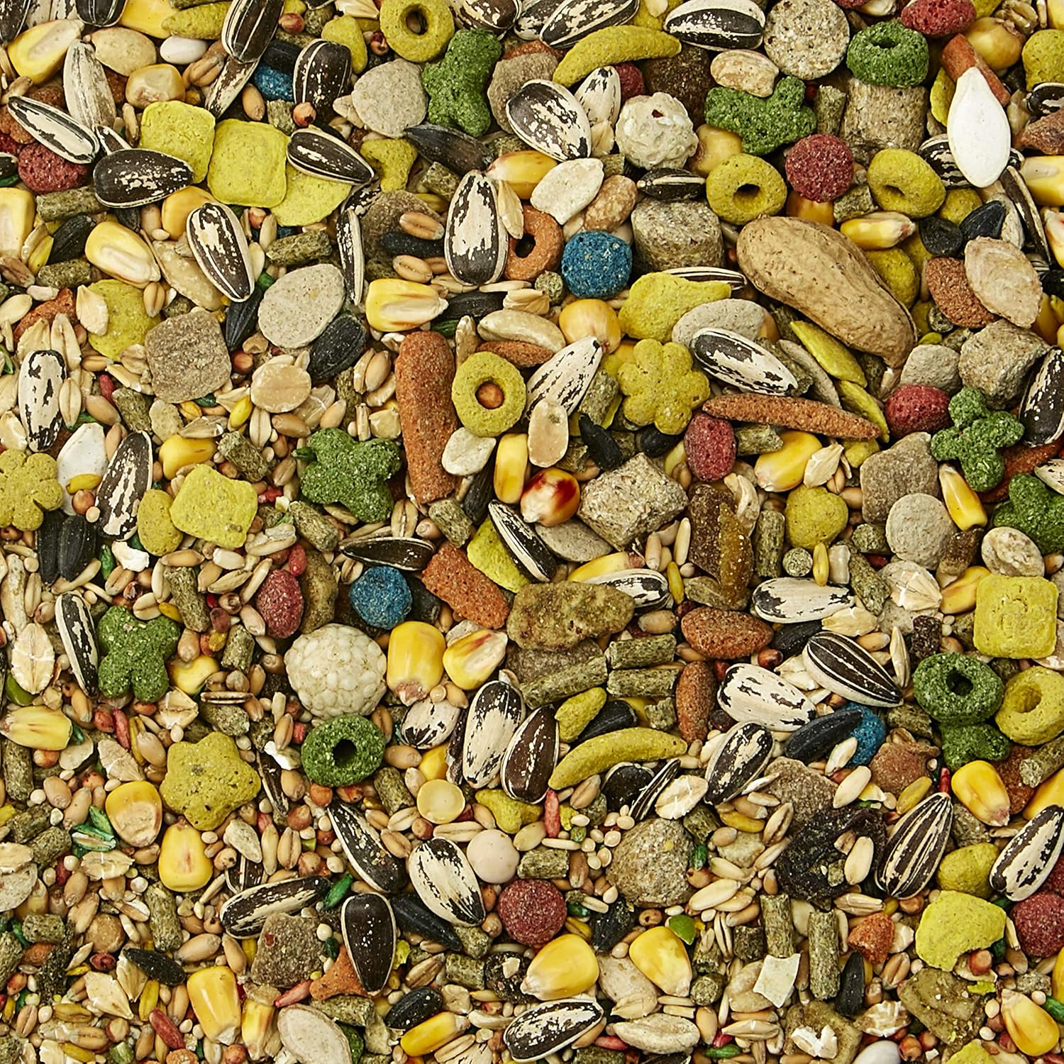 Kaytee Fiesta Mouse And Rat Food, 2-Lb Bag : Dry Pet Food : Pet Supplies