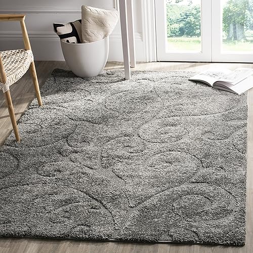 Big Lots Area Rugs: Amazon.com