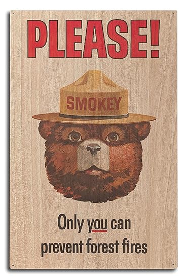 Image result for only you can prevent forest fires