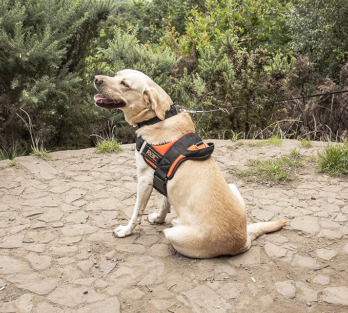 RAC Advanced Pet Dog Luxury, No Pull, Padded, Adjustable, Reflective