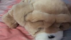 little live pets rollie my kissing puppy amazon