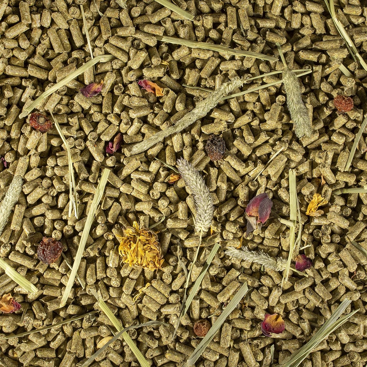 Kaytee Timothy Hay Complete Plus Flowers And Herbs Guinea Pig Food, 5Lb Bag : Pet Food : Pet Supplies